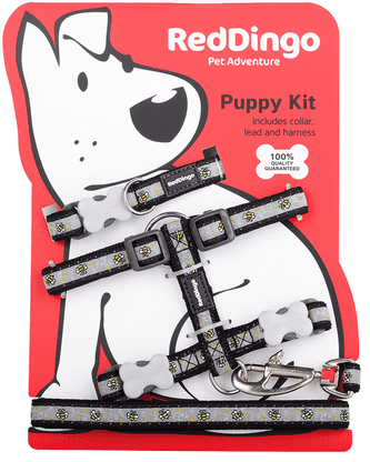Puppy Pack Collar, Lead and Harness