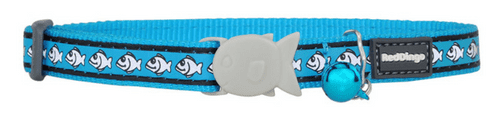 Red Dingo Cat Collar Reflective Turquoise Blue