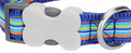 Red Dingo dog collar blue multi stripe