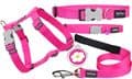 Growler Pets - Red Dingo Dog collar Classic Hot Pink