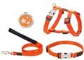 Growler Pets - Red Dingo Dog collar Classic Orange