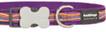 Red Dingo dog collar Dreamstream Purple