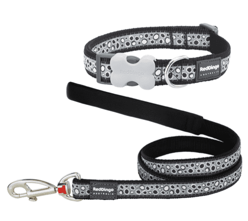 Red Dingo Dog Collar & Lead - Sale Set - Bedrock Small