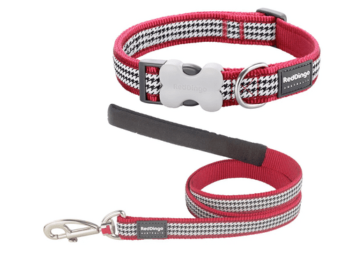 Red Dingo Dog Collar & Lead - Sale Set - Fang It Large