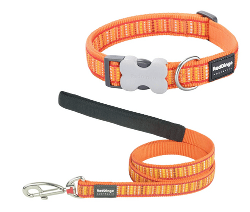 Red Dingo Dog Collar & Lead - Sale Set - Lotzadotz Orange Small