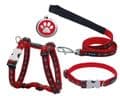 Red Dingo Dog collar Pawprints Red