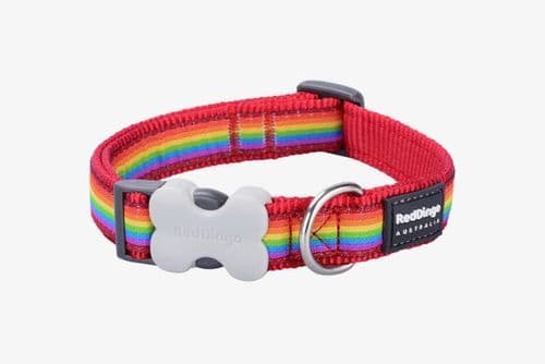 Red Dingo dog collar rainbow
