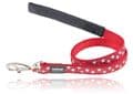 Red Dingo Dog collar red with white stars
