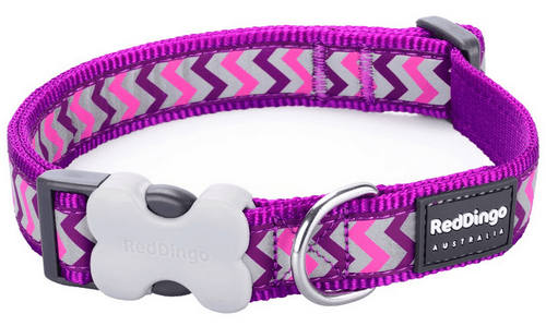 Red Dingo Dog Collar Reflective Zig Zag design Purple