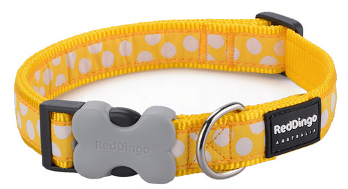Red Dingo Dog Collar Yellow Spot
