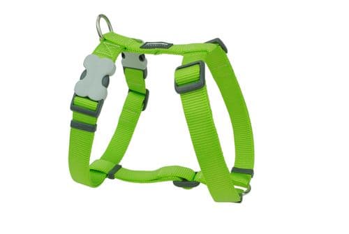 Red Dingo Dog Harness Classic Lime green