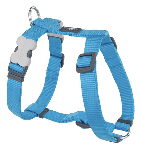 Red Dingo Dog Harness Classic Turquoise blue