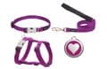 Red Dingo Dog Lead Classic Purple