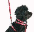 Red Dingo Dog Lead red and white stars
