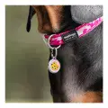 Red Dingo Dog Tag Cookie