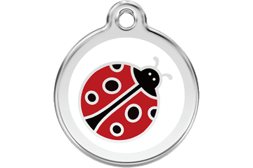 Red Dingo Dog Tag Lady Bug
