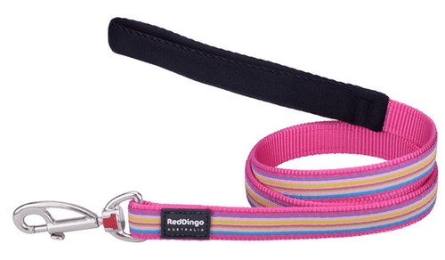 Red Dingo Hot Pink Stripe Dog Dog lead