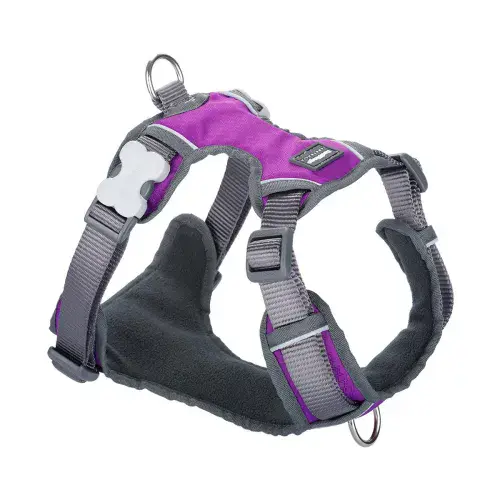 Red Dingo Padded Dog Harness Purple