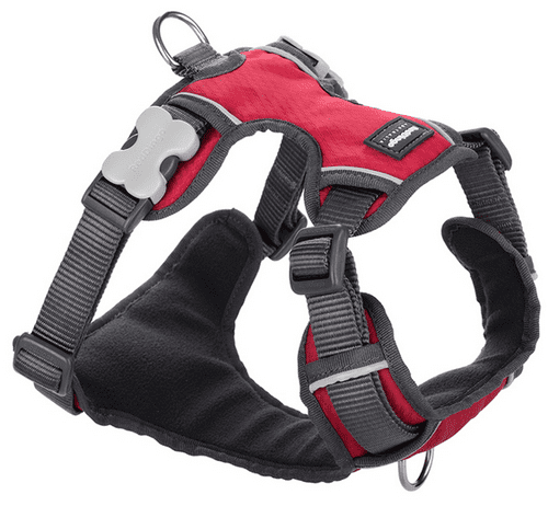 Red Dingo Padded Dog Harness Red