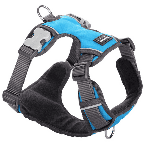 Red Dingo Padded Dog Harness Turquoise