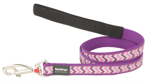 Red Dingo Reflective Ziggy Dog Lead Purple