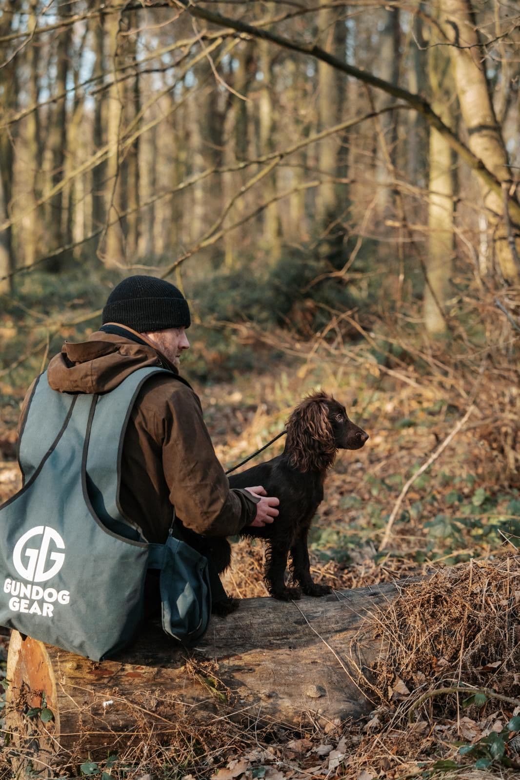 Why Gundog Training Days Are Vital for Field Success