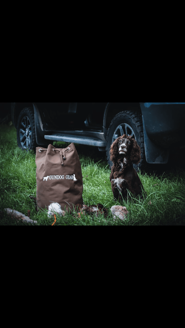 Top 10 Must-Have Items for Every Gundog Owner