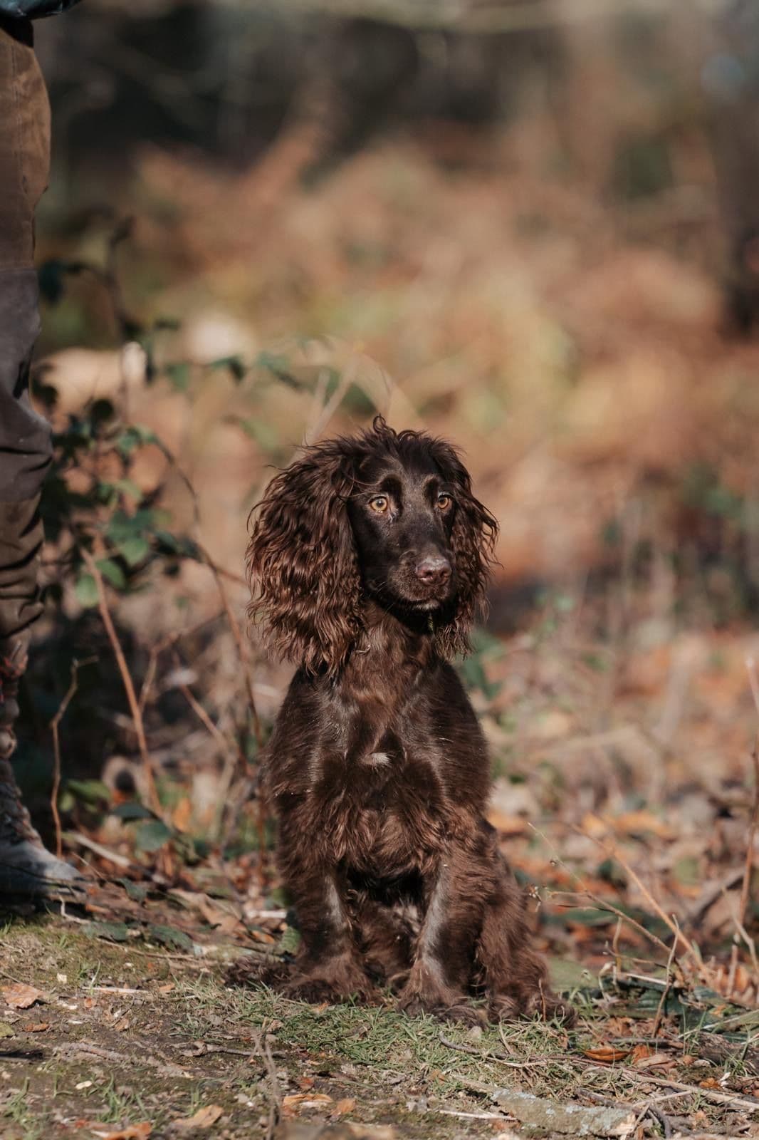 Kicking Off the Trial Season: Back in the Field with Nels