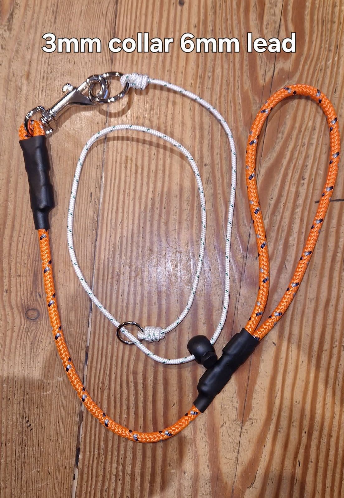 Why Every Gundog Handler Needs a Swivel Training Lead
