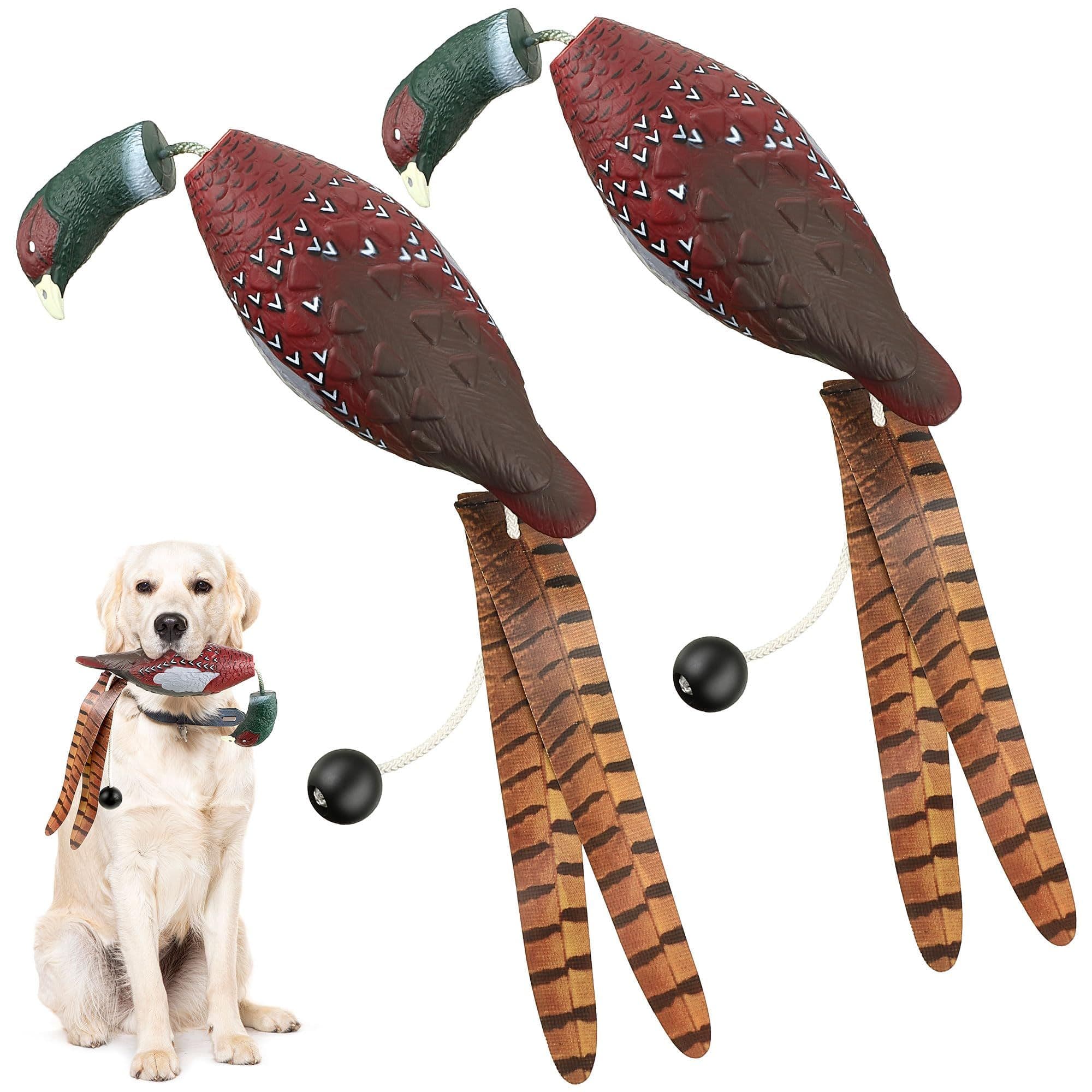 Why Squeaky Toys Can Lead to a Hard-Mouthed Gundog – And Why It Matters