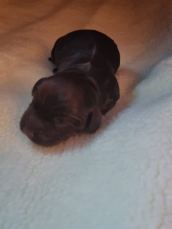 Eisa’s Story: From Heartbreak to Hope