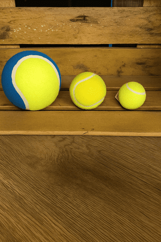 Mini Tennis Ball for Gundog Training | Hard-Hunting Ball for Field Work