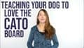 Cato Board Dog Training Platform.