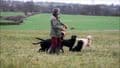 Dog Friendly Rubber Clay Discs – For EZ-Throw™ & Caldwell Target Throwers.