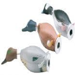 Dokken Teal Launcher Dummy