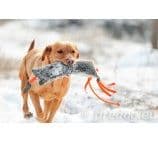 Firedog Wild Dummy - Pheasant Small 1kg Khaki