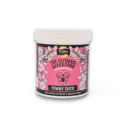 Proflax Tummy Tastic for Dogs 350g