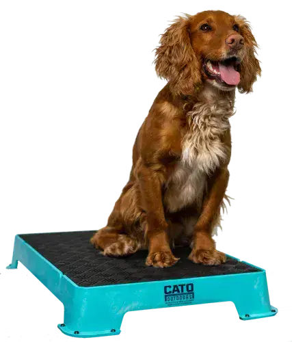 Trial & Test Equipment