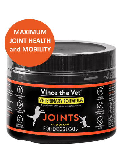 Vince the Vet: Joints