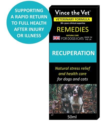 Vince the Vet: Recuperation Remedy 50ml