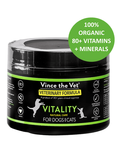 Vince the Vet: Vitality