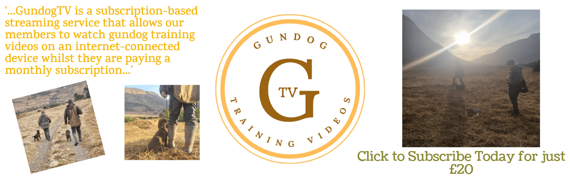 Gundog TV Training Videos