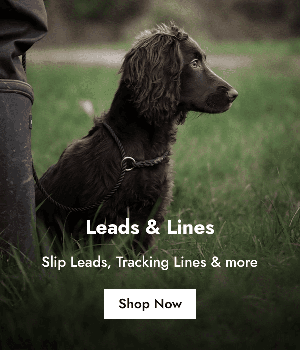 chocolate working cocker bitch Dog in open countryside on slip lead with handler