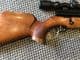 Webley Axsor .22 Custom