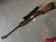 Webley Vulcan .22