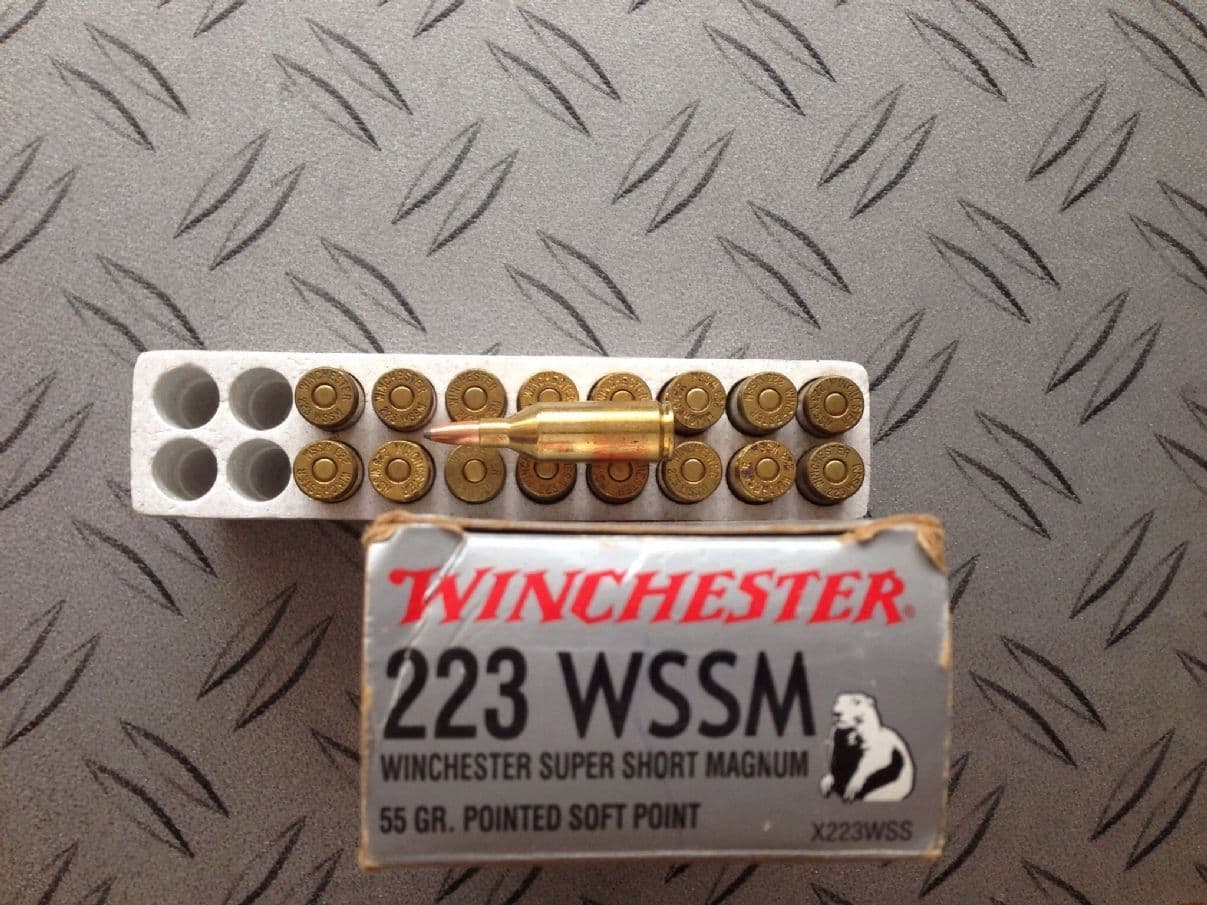 Winchester 223 WSSM x 37 rounds