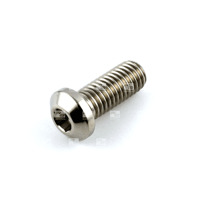 Ducati/Aprilia Titanium Front Disc Bolt M8 x 1.25mm x 20mm