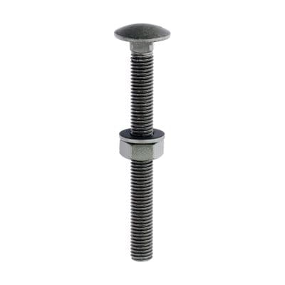 TIMCO M10 x 100 Carriage Bolts Hex Nuts & Form A Washers - Exterior Green - Bag of 10