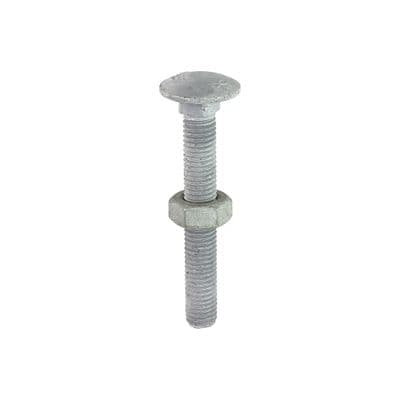 TIMCO M10 x 75 Carriage Bolts & Hex Nuts - Hot Dipped Galvanised - Box of 50