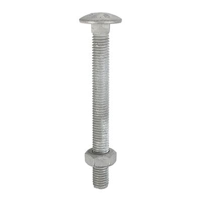 TIMCO M12 x 150 Carriage Bolts & Hex Nuts - Hot Dipped Galvanised - Box of 10
